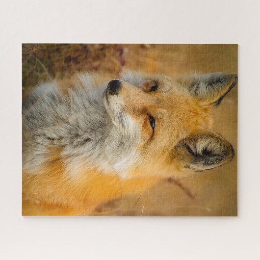Red Fox Photo Puzzle Legpuzzel (Horizontaal)