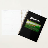 Red Fox Planner (Display)