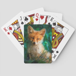 Red Fox Pokerkaarten
