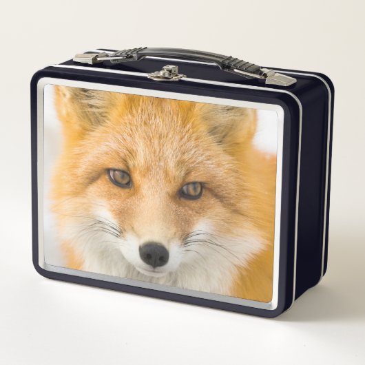 Red Fox Portrait (Voorkant)