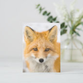 Red Fox Portrait Briefkaart (Staand voorkant)