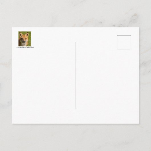 Red Fox Portrait Briefkaart (Achterkant)