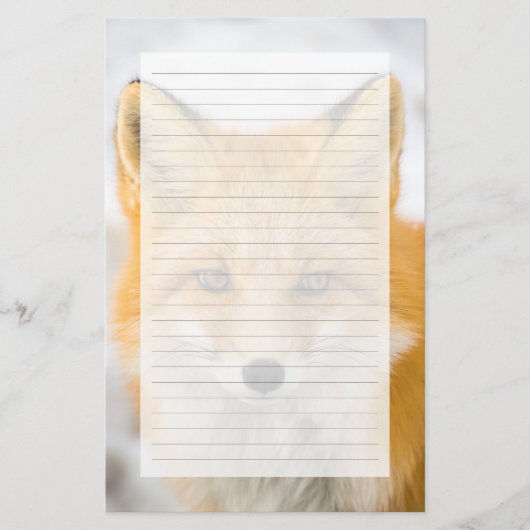 Red Fox Portrait Briefpapier (Voorkant)