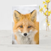 Red Fox Portrait Kaart (Gele Bloem)