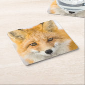 Red Fox Portrait Kartonnen Onderzetters (Schuin)