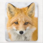 Red Fox Portrait Muismat (Voorkant)