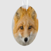 Red Fox Portrait Ornament (voorkant)