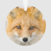 Red Fox Portrait Ornament (achterkant)
