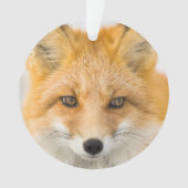 Red Fox Portrait Ornament (voorkant)