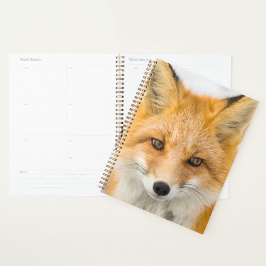 Red Fox Portrait Planner (Display)