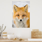 Red Fox Portrait Poster (Keuken)