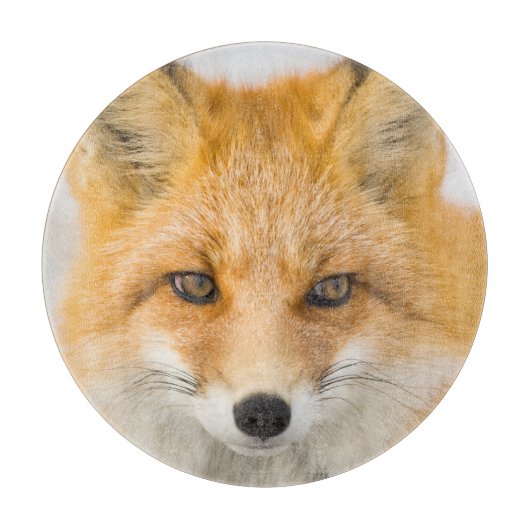 Red Fox Portrait Snijplank (Voorkant)