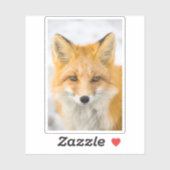 Red Fox Portrait Sticker (Vel)