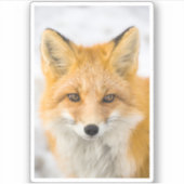 Red Fox Portrait Sticker (Voorkant)