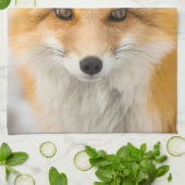 Red Fox Portrait Theedoek (Gevouwen)