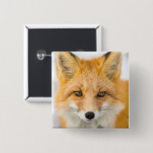 Red Fox Portrait Vierkante Button 5,1 Cm (Voorkant /achterkant)