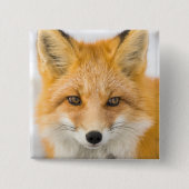 Red Fox Portrait Vierkante Button 5,1 Cm (Voorkant)