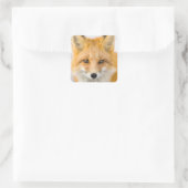 Red Fox Portrait Vierkante Sticker (Tas)