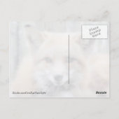 Red Fox Post Card Briefkaart (Achterkant)