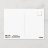 Red Fox POSTCARD Briefkaart (Achterkant)