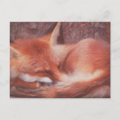 Red Fox POSTCARD Briefkaart (Voorkant)
