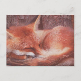 Red Fox POSTCARD Briefkaart