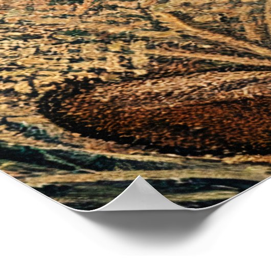 Red Fox Poster (Hoek)