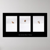 Red Fox Poster (Voorkant)