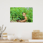 Red Fox Poster (Keuken)