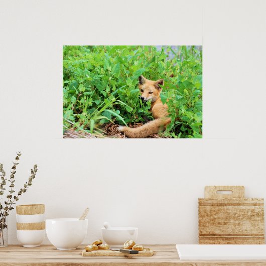 Red Fox Poster (Keuken)