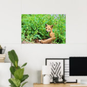 Red Fox Poster (Thuiskantoor)