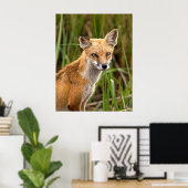 Red Fox Poster (Thuiskantoor)