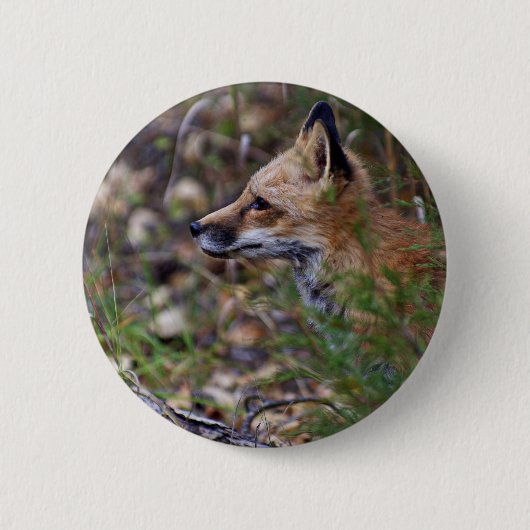 Red Fox - profiel van een vos Ronde Button 5,7 Cm (Voorkant)