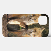 Red Fox pup in front of den Vulpes vulpes Case-Mate iPhone Case (Achterkant (horizontaal))