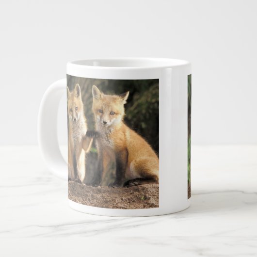 Red Fox pup in front of den Vulpes vulpes Grote Koffiekop (Links)