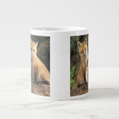 Red Fox pup in front of den Vulpes vulpes Grote Koffiekop (Voorkant)