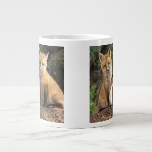 Red Fox pup in front of den Vulpes vulpes Grote Koffiekop (Voorkant)