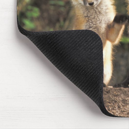 Red Fox pup in front of den Vulpes vulpes Muismat (Hoek)