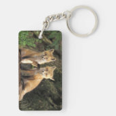 Red Fox pup in front of den Vulpes vulpes Sleutelhanger (achterkant)