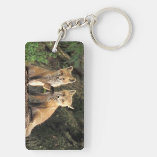 Red Fox pup in front of den Vulpes vulpes Sleutelhanger (achterkant)