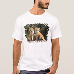 Red Fox pup in front of den Vulpes vulpes T-shirt