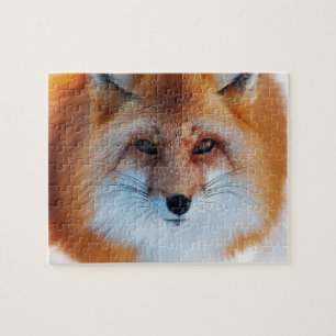 Red Fox Puzzle Legpuzzel