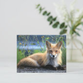 Red Fox Resting Briefkaart (Staand voorkant)