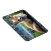 Red Fox Resting Magnet Magneet (Rechterzijde)