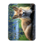 Red Fox Resting Magnet Magneet (Verticaal)