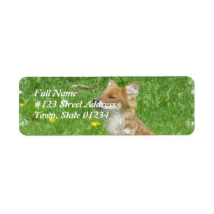 Red Fox Return Label