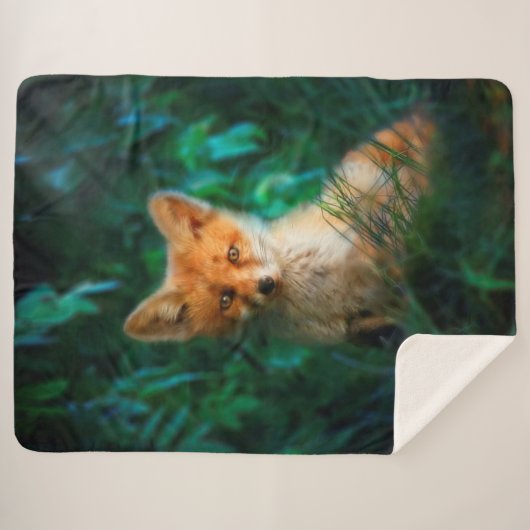 Red Fox Sherpa Deken (Voorkant (horizontaal))