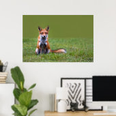 Red Fox Sitting Poster (Thuiskantoor)