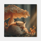 Red Fox Sleeping Under Giant Mushroom Magneet (Voorkant)