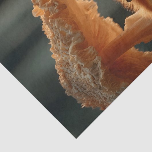 Red Fox Sleeping Under Giant Mushroom Tissuepapier (Detail)